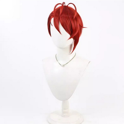 【ツイステ ウィッグ】ディズニー ツイステッドワンダーランド ジェイド　シルバー・アッシュ　Riddle　風　コスプレウィッグ